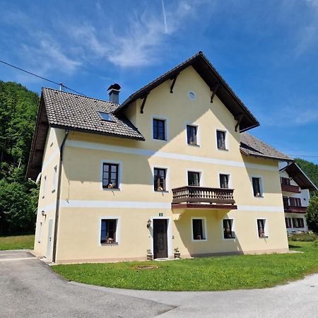 Ferienwohnungen Viktoria Buchegger Grünau im Almtal Buitenkant foto